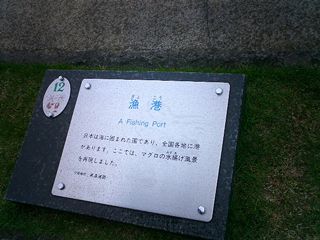 2004/05/08 23:11:31