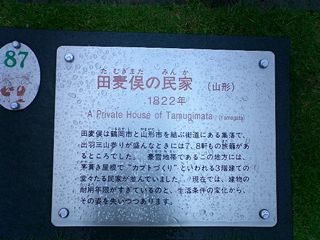 2004/05/08 23:11:50
